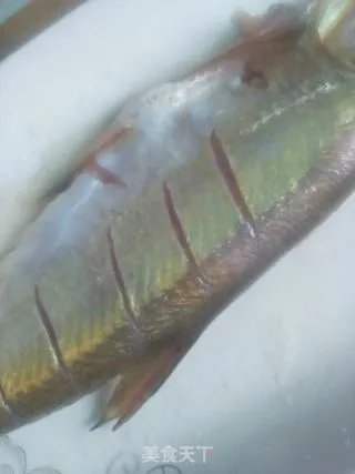 清蒸红腮鱼