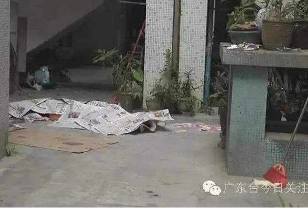 高楼坠亡洒落现金 男子因何离奇坠楼?