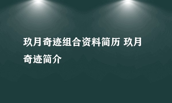 玖月奇迹组合资料简历 玖月奇迹简介