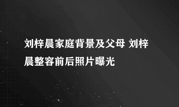 刘梓晨家庭背景及父母 刘梓晨整容前后照片曝光