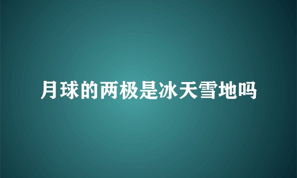 月球的两极是冰天雪地吗