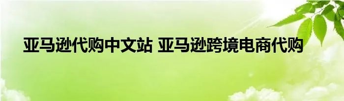 亚马逊代购中文站 亚马逊跨境电商代购