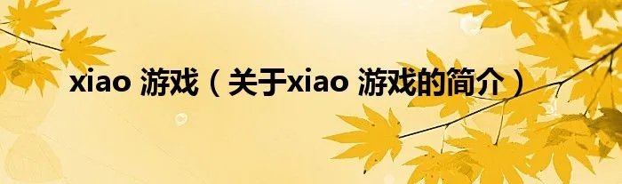xiao 游戏（关于xiao 游戏的简介）