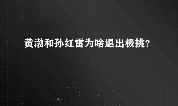 黄渤和孙红雷为啥退出极挑？