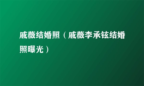 戚薇结婚照（戚薇李承铉结婚照曝光）