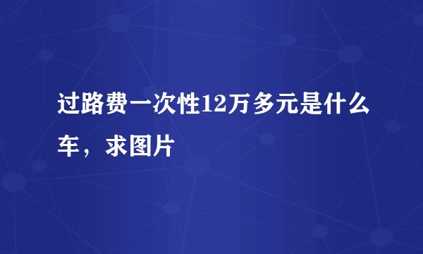 过路费一次性12万多元是什么车，求图片