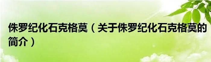 侏罗纪化石克格莫（关于侏罗纪化石克格莫的简介）