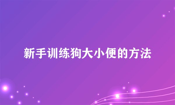 新手训练狗大小便的方法