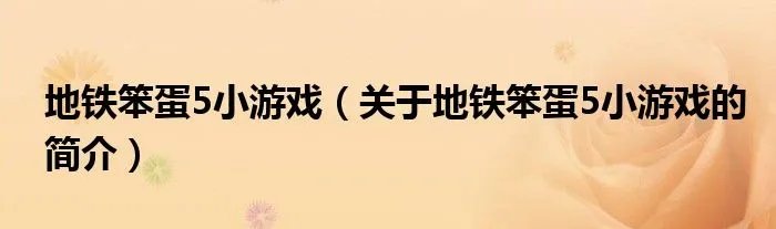 地铁笨蛋5小游戏（关于地铁笨蛋5小游戏的简介）