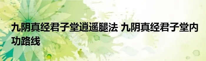 九阴真经君子堂逍遥腿法 九阴真经君子堂内功路线