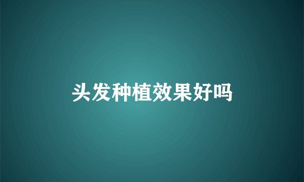 头发种植效果好吗