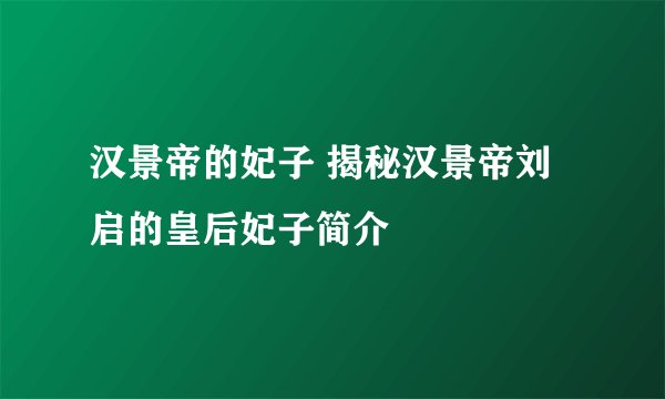 汉景帝的妃子 揭秘汉景帝刘启的皇后妃子简介