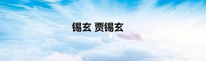锡玄 贾锡玄