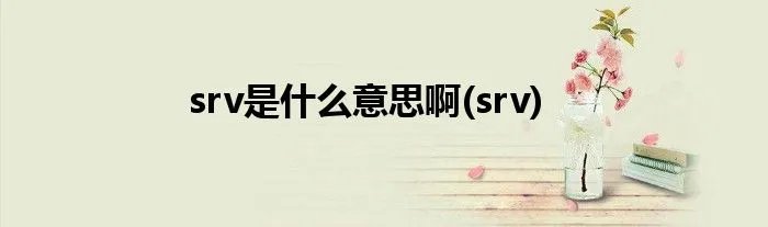 srv是什么意思啊(srv)