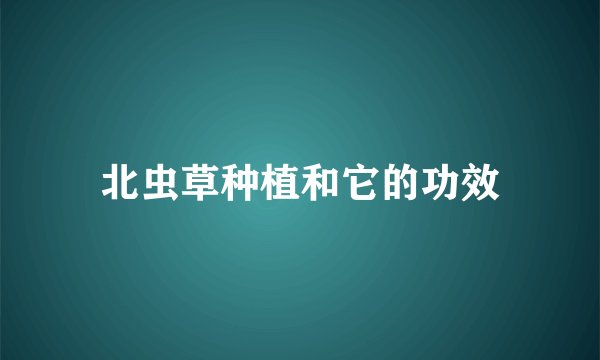 北虫草种植和它的功效