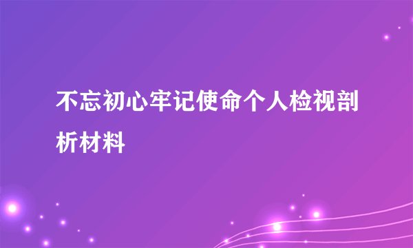 不忘初心牢记使命个人检视剖析材料