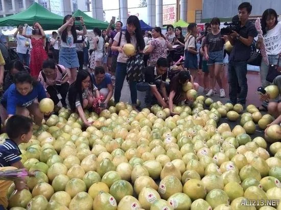 大学男生摆999个柚子告白师姐 结果师姐回复亮了