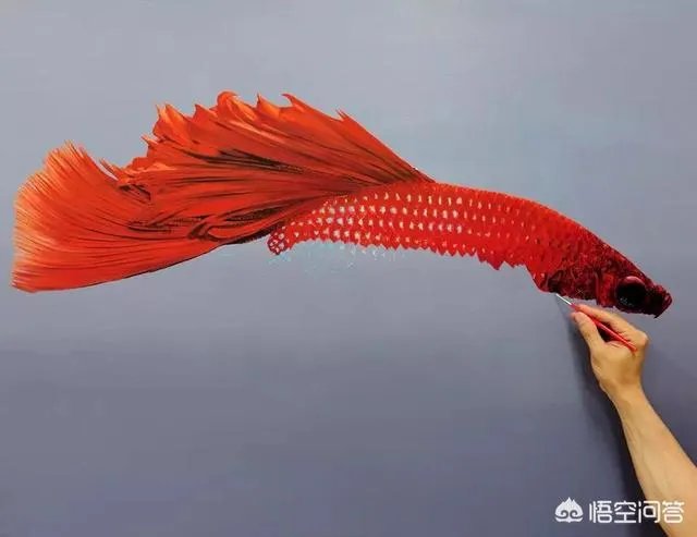 哪里的美术画室比较好?