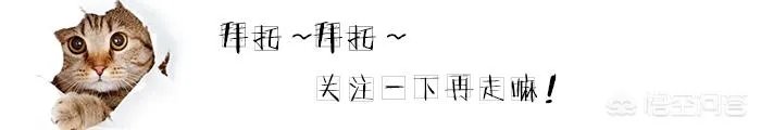 库里曾单场命中13记三分,生涯单场最高得分却只有54分,为什么?