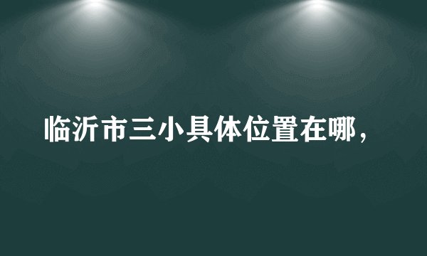 临沂市三小具体位置在哪，
