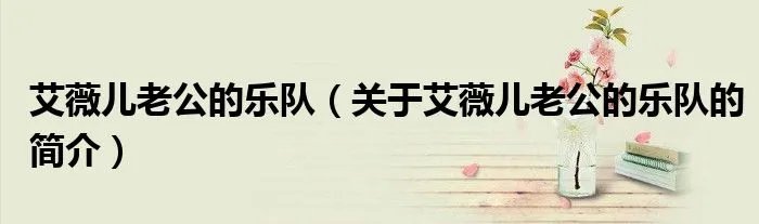 艾薇儿老公的乐队（关于艾薇儿老公的乐队的简介）