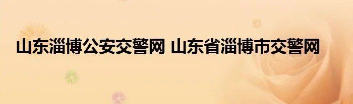 山东淄博公安交警网 山东省淄博市交警网