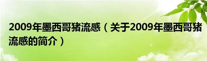 2009年墨西哥猪流感（关于2009年墨西哥猪流感的简介）