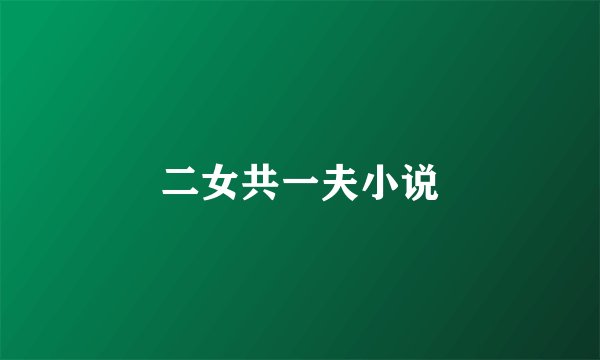 二女共一夫小说
