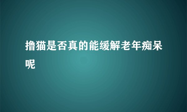 撸猫是否真的能缓解老年痴呆呢