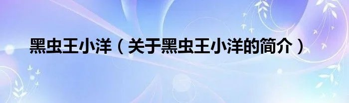 黑虫王小洋（关于黑虫王小洋的简介）