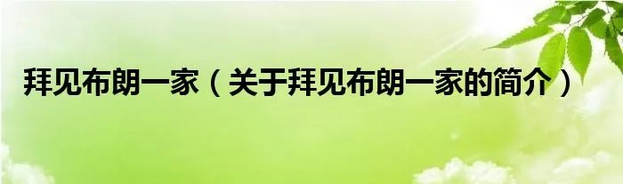 拜见布朗一家（关于拜见布朗一家的简介）