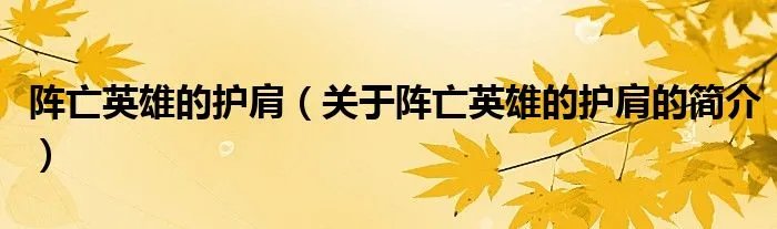 阵亡英雄的护肩（关于阵亡英雄的护肩的简介）