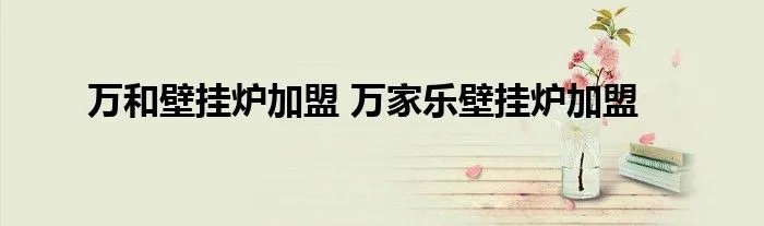 万和壁挂炉加盟 万家乐壁挂炉加盟