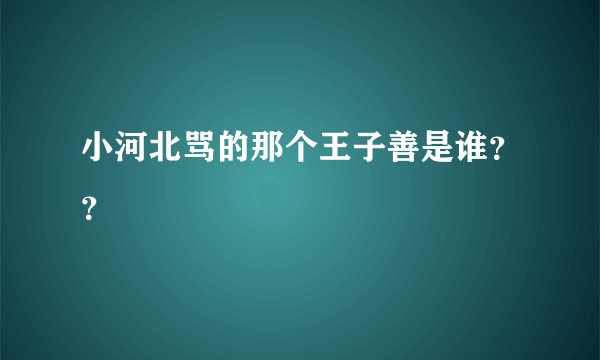 小河北骂的那个王子善是谁？？