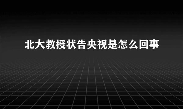 北大教授状告央视是怎么回事