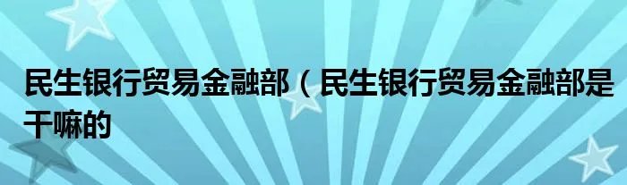 民生银行贸易金融部（民生银行贸易金融部是干嘛的