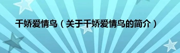 千娇爱情鸟（关于千娇爱情鸟的简介）
