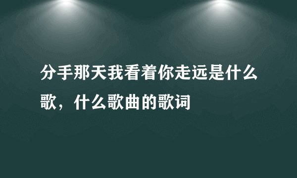 分手那天我看着你走远是什么歌，什么歌曲的歌词