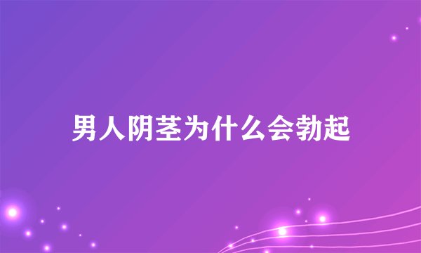 男人阴茎为什么会勃起