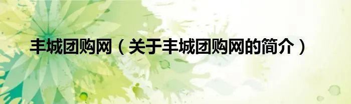 丰城团购网（关于丰城团购网的简介）