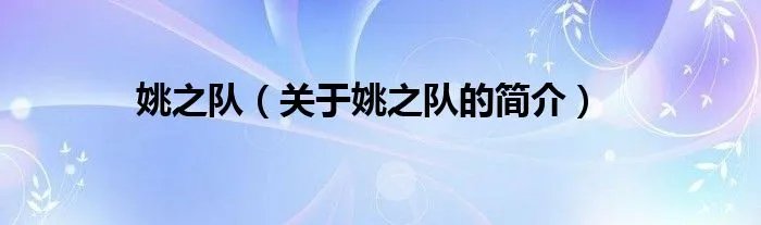 姚之队（关于姚之队的简介）