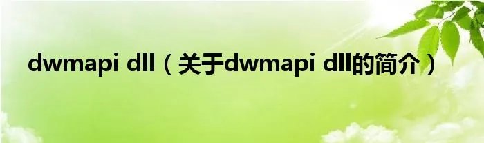 dwmapi dll(关于dwmapi dll的简介)