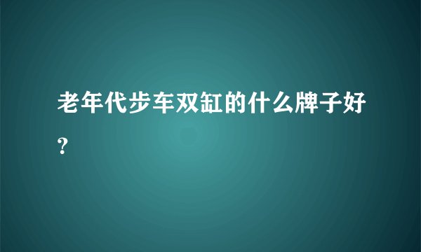老年代步车双缸的什么牌子好？