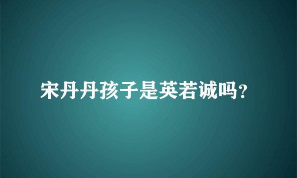 宋丹丹孩子是英若诚吗？