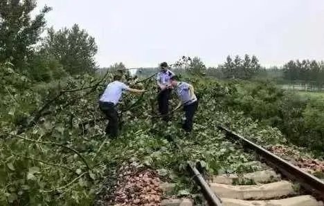 江苏一民警为何挥舞警服拦停火车?