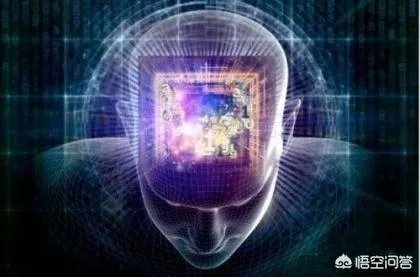 科学家成功复活死亡猪脑,意味着什么?