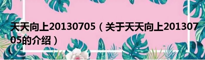 天天向上20130705（关于天天向上20130705的介绍）
