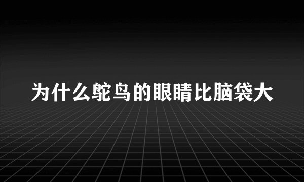 为什么鸵鸟的眼睛比脑袋大