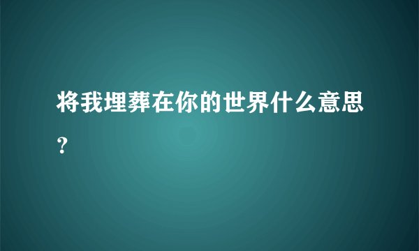 将我埋葬在你的世界什么意思？