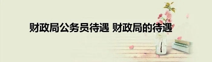 财政局公务员待遇 财政局的待遇